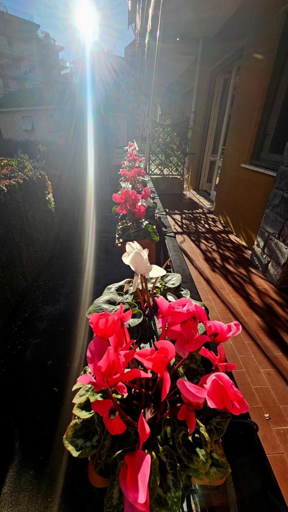 شقة Casa Con Giardino Vicino Al Mare راباللو المظهر الخارجي الصورة